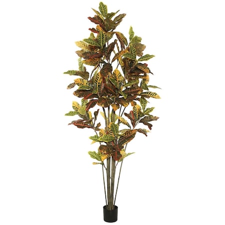 Grandoldgarden 7 ft. Potted Cronton Tree with 192 Leaves - Green & Orange GR2675612